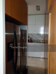 Sommerville Park (D10), Terrace #153902062